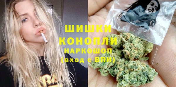 дмт Медвежьегорск