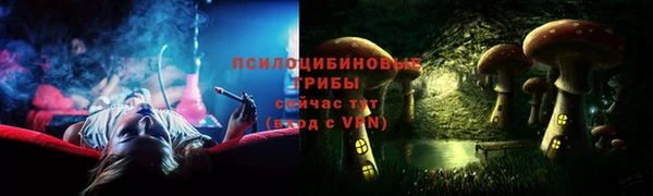 дмт Медвежьегорск