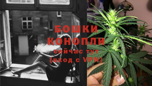 трава Мегион