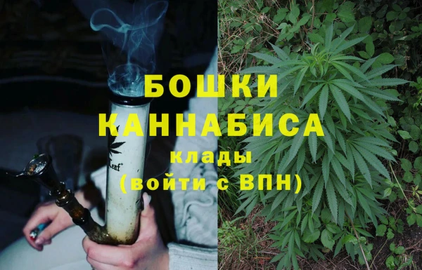 трава Мегион