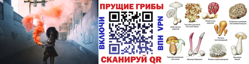 Галлюциногенные грибы ЛСД  Юхнов 